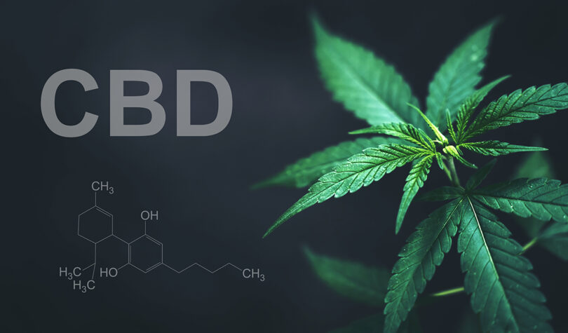 CBD danger