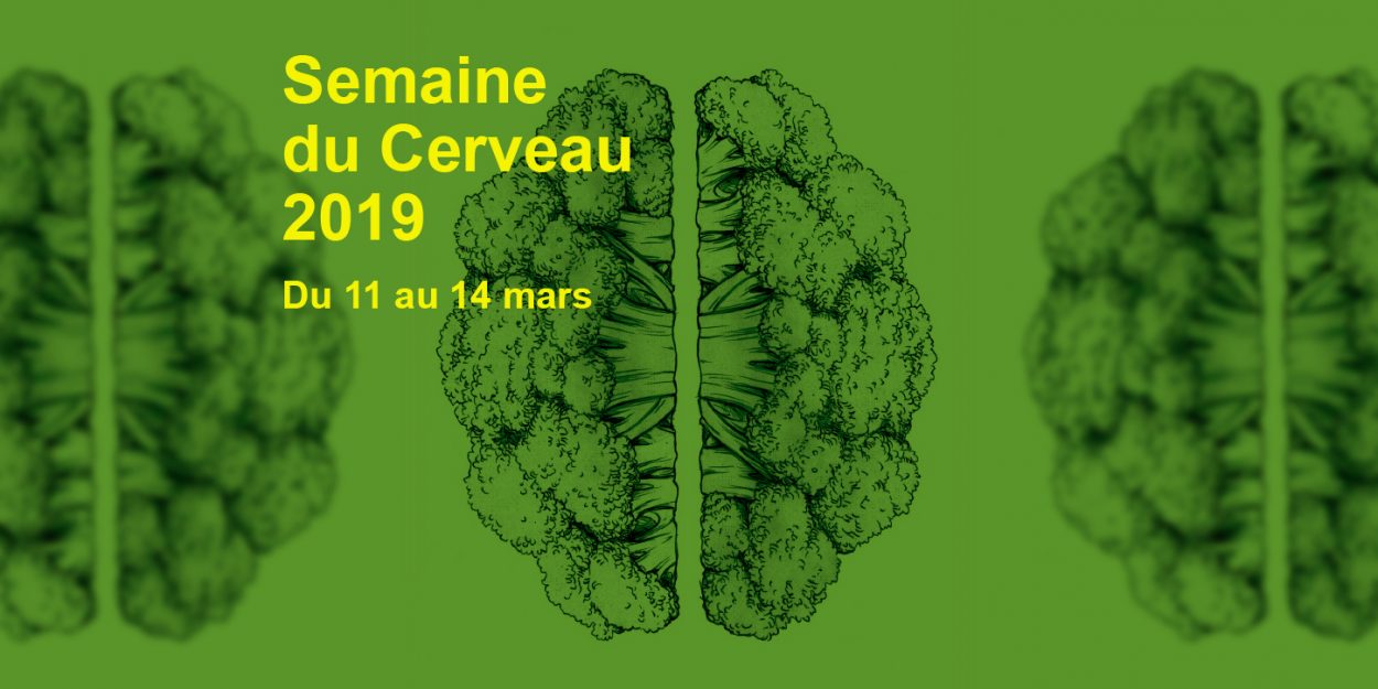 Semaine du cerveau