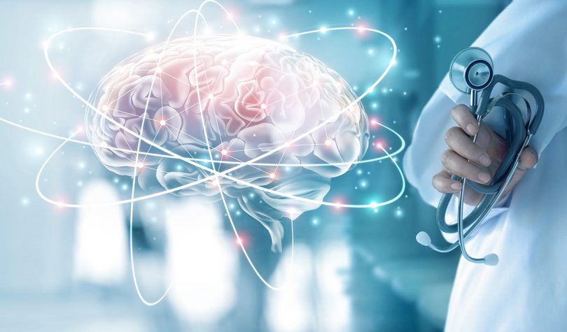 cerveau fonctionnement