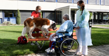 La thérapie assistée par l’animal