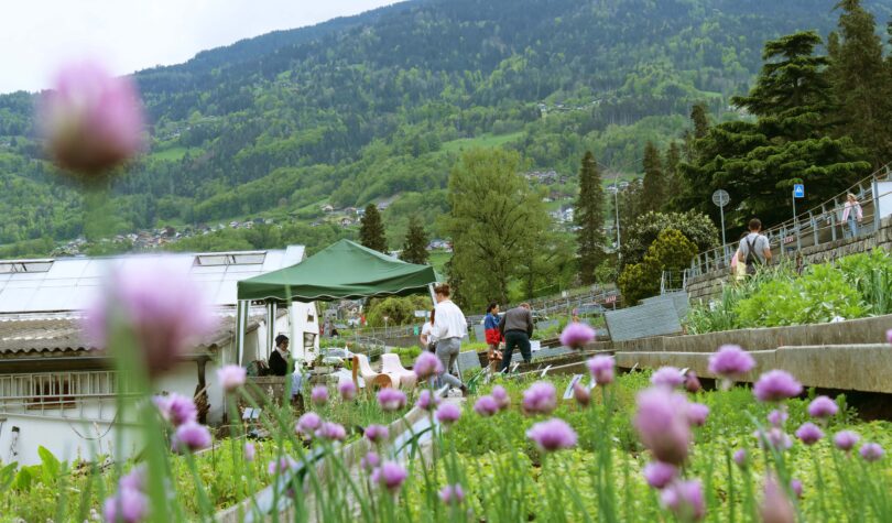 Jardins permacoles